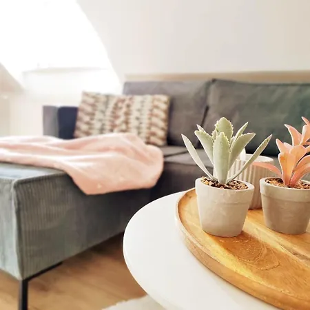 Appartement Mit Falcher Adresse Angelegt *